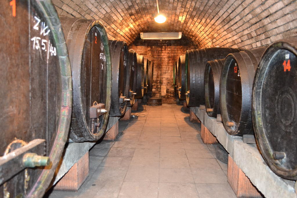 Penzion Vinarsky Dvorek Velke Nemcice Exterior photo